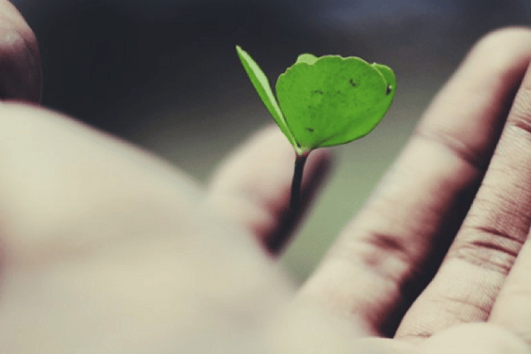 Raising Your Teen to Have a Growth Mindset